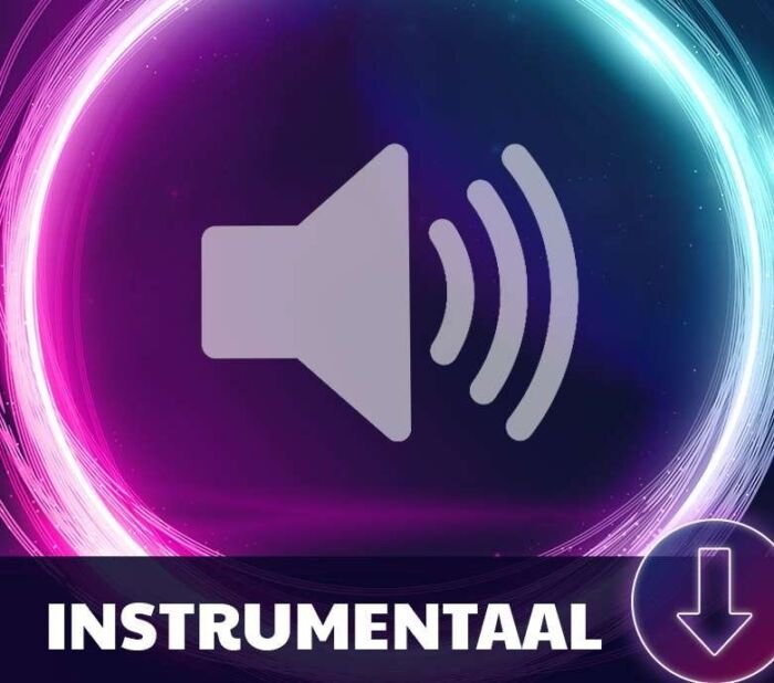 Instrumentale track mp3 (los)